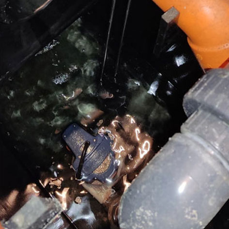 Fosse settiche Venezia